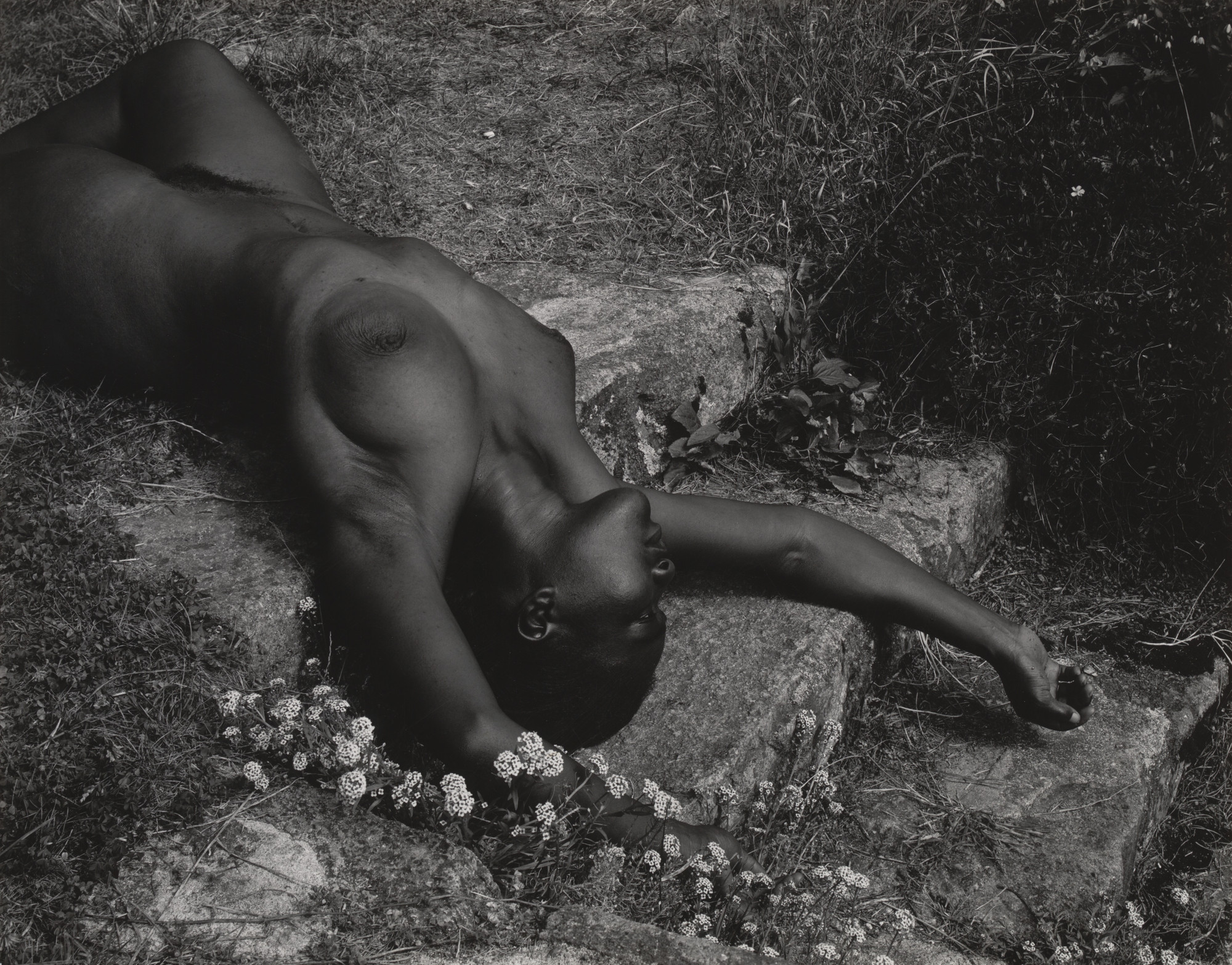 Edward Weston Nudes Edward Weston Nudes